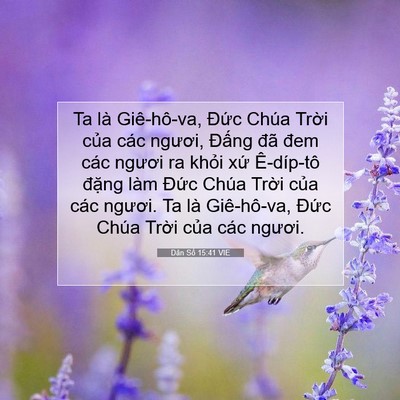 Picture 07 - Dân Số 15:41 VIE - Ta là Giê-hô-va, Đức Chúa Trời của - Bible Verse Picture