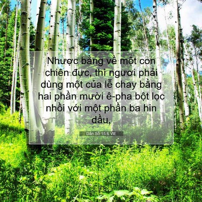 Picture 07 - Dân Số 15:6 VIE - Nhược bằng về một con chiên đực, - Bible Verse Picture