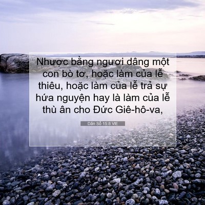 Picture 07 - Dân Số 15:8 VIE - Nhược bằng ngươi dâng một con bò tơ, - Bible Verse Picture