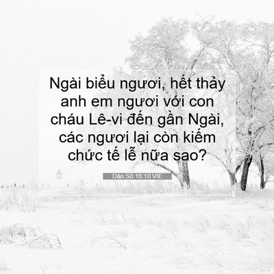 Picture 07 - Dân Số 16:10 VIE - Ngài biểu ngươi, hết thảy anh em ngươi - Bible Verse Picture