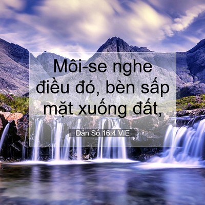 Picture 07 - Dân Số 16:4 VIE - Môi-se nghe điều đó, bèn sấp mặt - Bible Verse Picture
