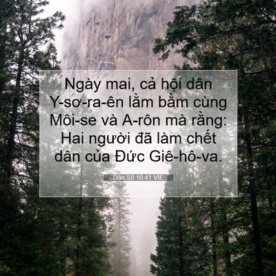 Picture 07 - Dân Số 16:41 VIE - Ngày mai, cả hội dân Y-sơ-ra-ên lằm - Bible Verse Picture