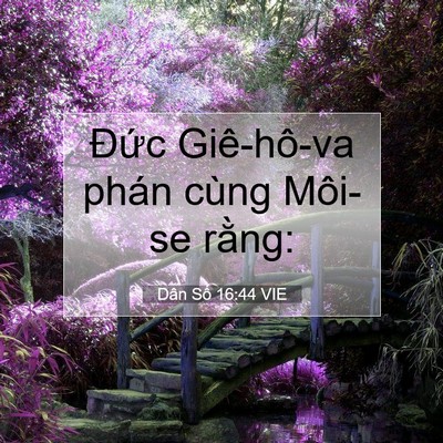 Picture 07 - Dân Số 16:44 VIE - Đức Giê-hô-va phán cùng Môi-se - Bible Verse Picture