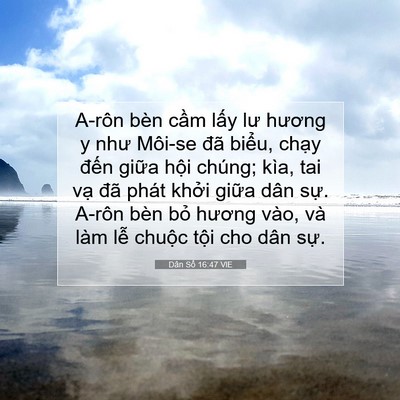 Picture 07 - Dân Số 16:47 VIE - A-rôn bèn cầm lấy lư hương y như - Bible Verse Picture