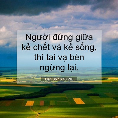 Picture 07 - Dân Số 16:48 VIE - Người đứng giữa kẻ chết và kẻ - Bible Verse Picture