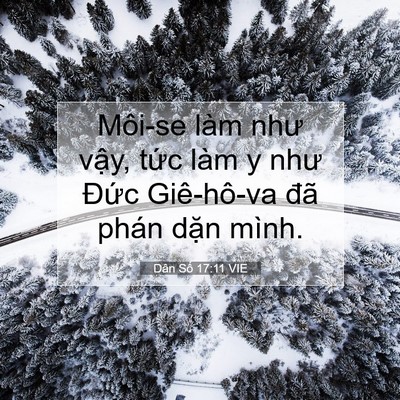 Picture 07 - Dân Số 17:11 VIE - Môi-se làm như vậy, tức làm y như Đức - Bible Verse Picture