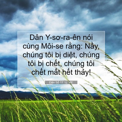 Picture 07 - Dân Số 17:12 VIE - Dân Y-sơ-ra-ên nói cùng Môi-se rằng: - Bible Verse Picture