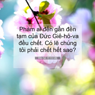 Picture 07 - Dân Số 17:13 VIE - Phàm ai đến gần đền tạm của Đức - Bible Verse Picture