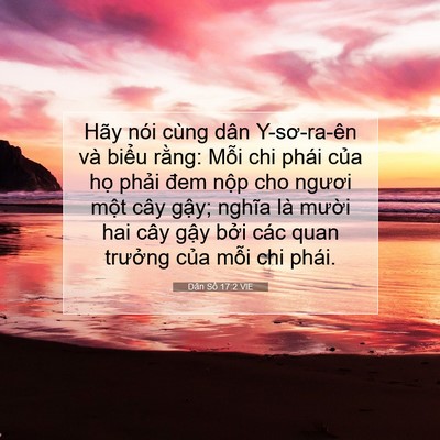 Picture 07 - Dân Số 17:2 VIE - Hãy nói cùng dân Y-sơ-ra-ên và biểu - Bible Verse Picture