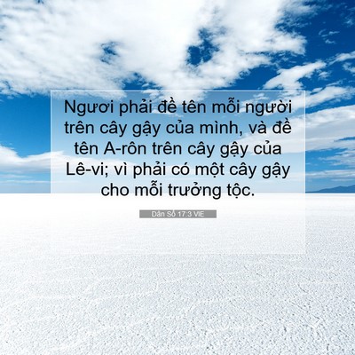 Picture 07 - Dân Số 17:3 VIE - Ngươi phải đề tên mỗi người trên - Bible Verse Picture