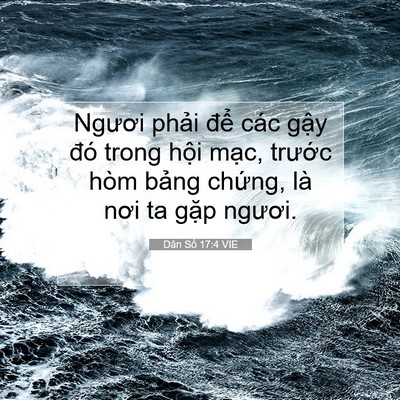 Picture 07 - Dân Số 17:4 VIE - Ngươi phải để các gậy đó trong hội - Bible Verse Picture