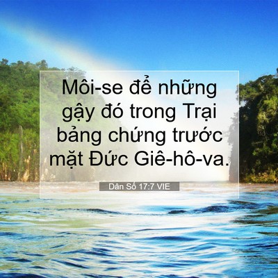 Picture 07 - Dân Số 17:7 VIE - Môi-se để những gậy đó trong Trại - Bible Verse Picture