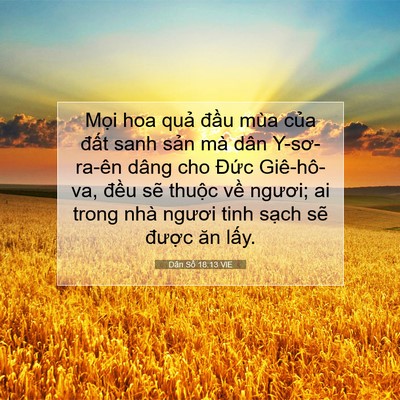 Picture 07 - Dân Số 18:13 VIE - Mọi hoa quả đầu mùa của đất sanh - Bible Verse Picture
