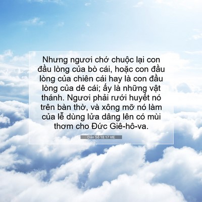 Picture 07 - Dân Số 18:17 VIE - Nhưng ngươi chớ chuộc lại con đầu - Bible Verse Picture