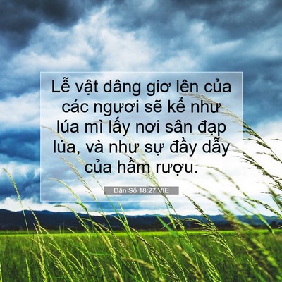 Picture 07 - Dân Số 18:27 VIE - Lễ vật dâng giơ lên của các ngươi - Bible Verse Picture