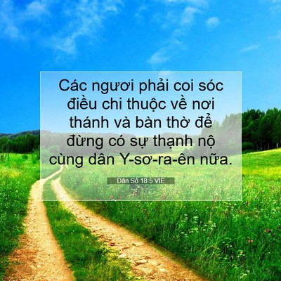 Picture 07 - Dân Số 18:5 VIE - Các ngươi phải coi sóc điều chi thuộc - Bible Verse Picture