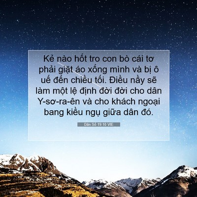 Picture 07 - Dân Số 19:10 VIE - Kẻ nào hốt tro con bò cái tơ phải - Bible Verse Picture
