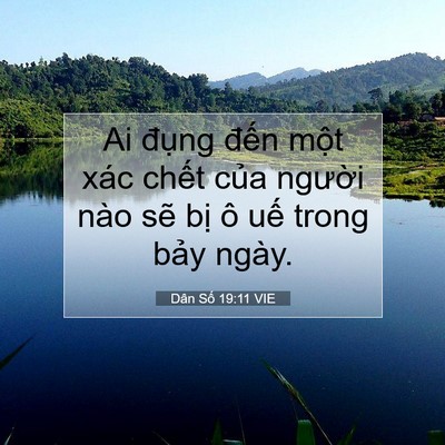 Picture 07 - Dân Số 19:11 VIE - Ai đụng đến một xác chết của - Bible Verse Picture