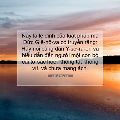 Picture 07 - Dân Số 19:2 VIE - Nầy là lệ định của luật pháp mà - Bible Verse Picture