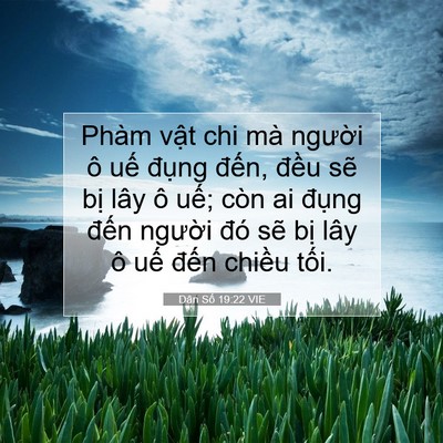 Picture 07 - Dân Số 19:22 VIE - Phàm vật chi mà người ô uế đụng - Bible Verse Picture
