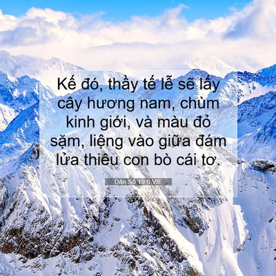 Picture 07 - Dân Số 19:6 VIE - Kế đó, thầy tế lễ sẽ lấy cây - Bible Verse Picture