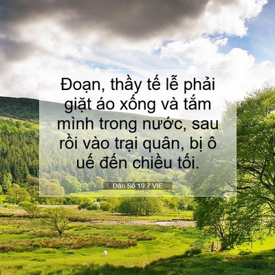 Picture 07 - Dân Số 19:7 VIE - Đoạn, thầy tế lễ phải giặt áo - Bible Verse Picture