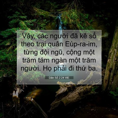 Picture 07 - Dân Số 2:24 VIE - Vậy, các người đã kê sổ theo trại - Bible Verse Picture