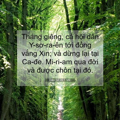 Picture 07 - Dân Số 20:1 VIE - Tháng giêng, cả hội dân Y-sơ-ra-ên tới - Bible Verse Picture