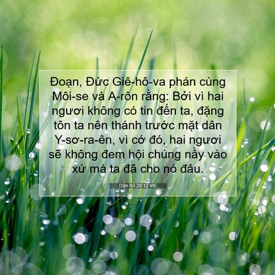 Picture 07 - Dân Số 20:12 VIE - Đoạn, Đức Giê-hô-va phán cùng Môi-se - Bible Verse Picture