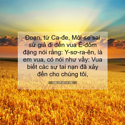 Picture 07 - Dân Số 20:14 VIE - Đoạn, từ Ca-đe, Môi-se sai sứ giả đi - Bible Verse Picture