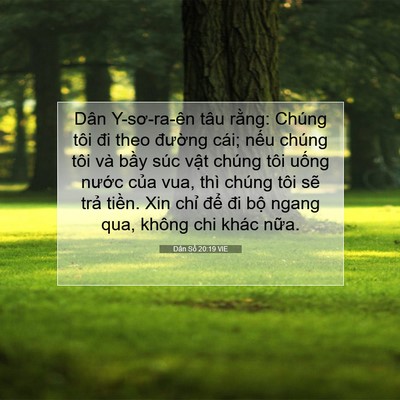 Picture 07 - Dân Số 20:19 VIE - Dân Y-sơ-ra-ên tâu rằng: Chúng tôi đi - Bible Verse Picture