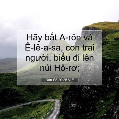 Picture 07 - Dân Số 20:25 VIE - Hãy bắt A-rôn và Ê-lê-a-sa, con trai - Bible Verse Picture