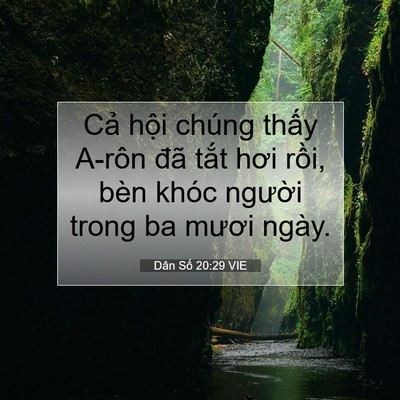 Picture 07 - Dân Số 20:29 VIE - Cả hội chúng thấy A-rôn đã tắt hơi - Bible Verse Picture
