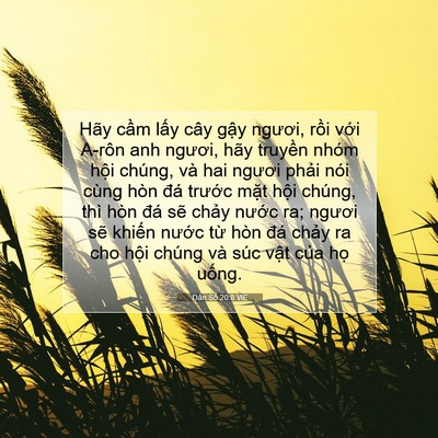 Picture 07 - Dân Số 20:8 VIE - Hãy cầm lấy cây gậy ngươi, rồi với - Bible Verse Picture
