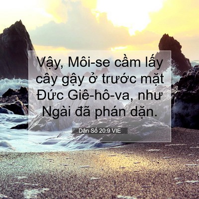 Picture 07 - Dân Số 20:9 VIE - Vậy, Môi-se cầm lấy cây gậy ở - Bible Verse Picture