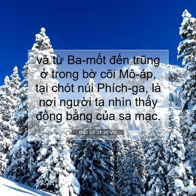Picture 07 - Dân Số 21:20 VIE - và từ Ba-mốt đến trũng ở trong bờ - Bible Verse Picture