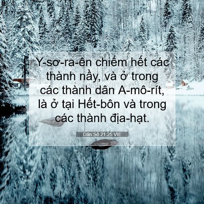 Picture 07 - Dân Số 21:25 VIE - Y-sơ-ra-ên chiếm hết các thành nầy, và - Bible Verse Picture
