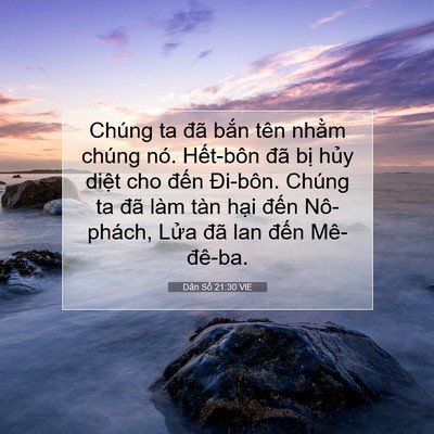 Picture 07 - Dân Số 21:30 VIE - Chúng ta đã bắn tên nhằm chúng nó. - Bible Verse Picture