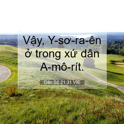 Picture 07 - Dân Số 21:31 VIE - Vậy, Y-sơ-ra-ên ở trong xứ dân - Bible Verse Picture