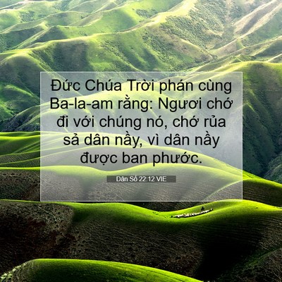 Picture 07 - Dân Số 22:12 VIE - Đức Chúa Trời phán cùng Ba-la-am rằng: - Bible Verse Picture