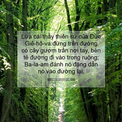 Picture 07 - Dân Số 22:23 VIE - Lừa cái thấy thiên sứ của Đức - Bible Verse Picture