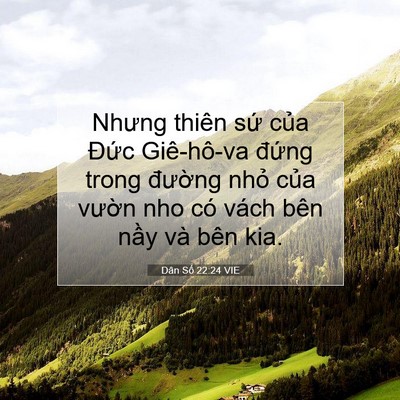Picture 07 - Dân Số 22:24 VIE - Nhưng thiên sứ của Đức Giê-hô-va - Bible Verse Picture