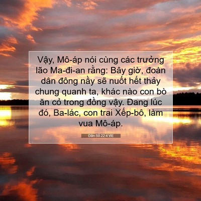 Picture 07 - Dân Số 22:4 VIE - Vậy, Mô-áp nói cùng các trưởng lão - Bible Verse Picture