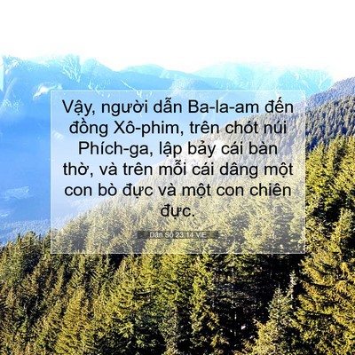 Picture 07 - Dân Số 23:14 VIE - Vậy, người dẫn Ba-la-am đến đồng - Bible Verse Picture
