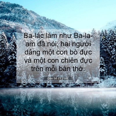 Picture 07 - Dân Số 23:2 VIE - Ba-lác làm như Ba-la-am đã nói; hai - Bible Verse Picture