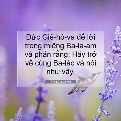 Picture 07 - Dân Số 23:5 VIE - Đức Giê-hô-va để lời trong miệng - Bible Verse Picture