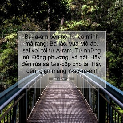 Picture 07 - Dân Số 23:7 VIE - Ba-la-am bèn nói lời ca mình mà rằng: - Bible Verse Picture