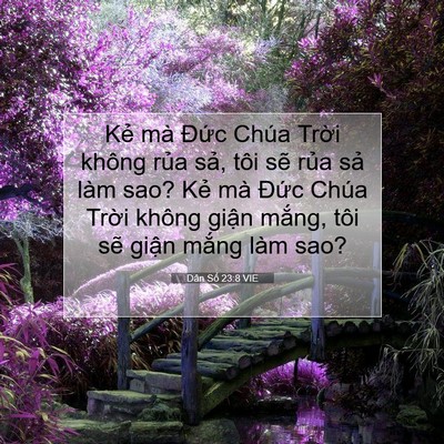 Picture 07 - Dân Số 23:8 VIE - Kẻ mà Đức Chúa Trời không rủa sả, - Bible Verse Picture