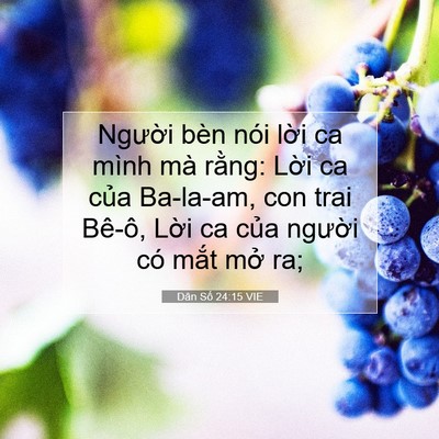 Picture 07 - Dân Số 24:15 VIE - Người bèn nói lời ca mình mà rằng: - Bible Verse Picture