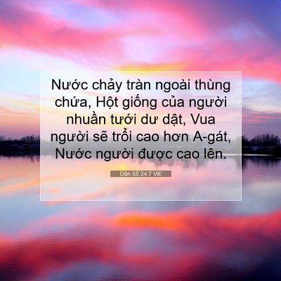 Picture 07 - Dân Số 24:7 VIE - Nước chảy tràn ngoài thùng chứa, Hột - Bible Verse Picture